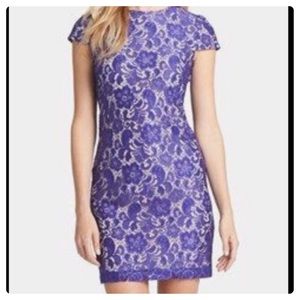 Ivy & Blu Maggie Boutique Lace Shift Dress